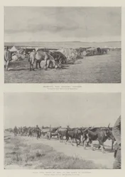 Escenas en Chieveley